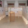 Mostra all'ISA Fabiani